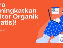 Cara Meningkatkan Visitor Organik Gratis