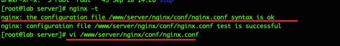 nginx test